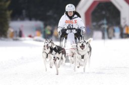 Lenzerheide 2013